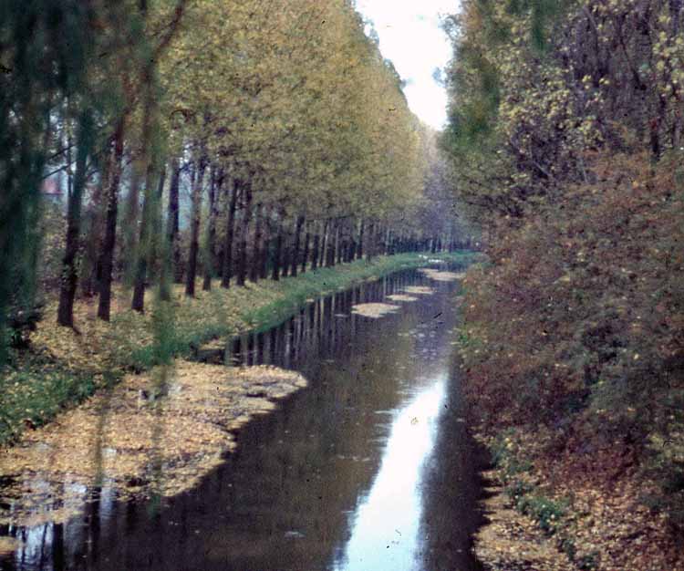 river scene